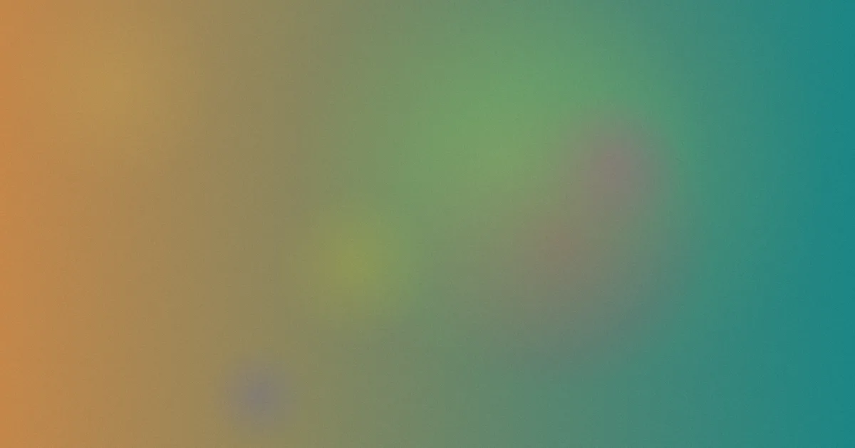 王晓晨个人资料避坑指南